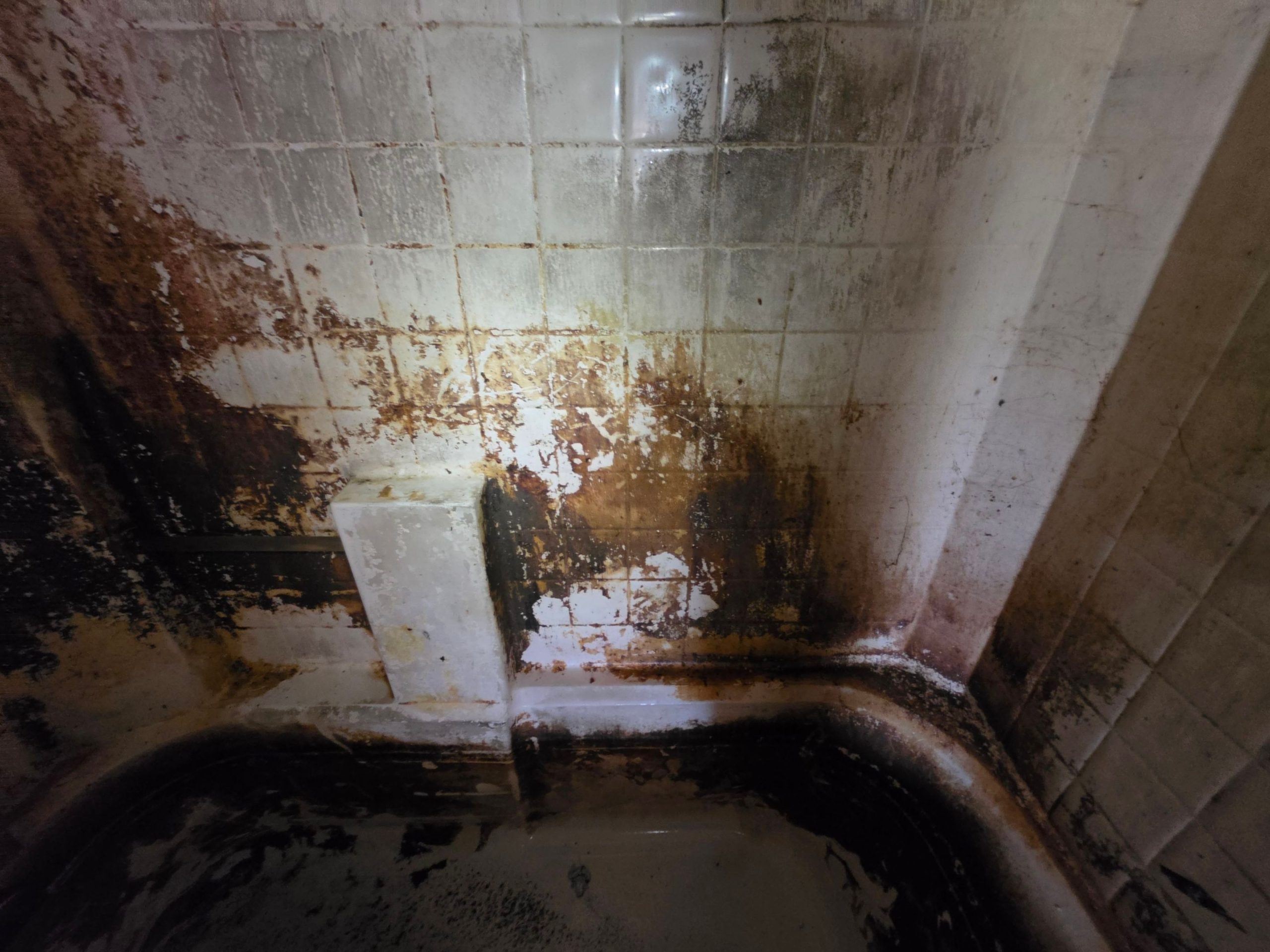dirty tub before