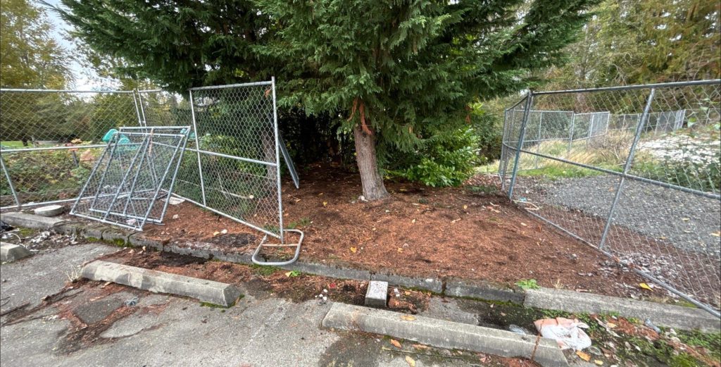homeless camp todd ward after pic